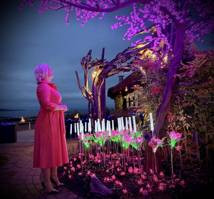 Winter Lights Pacific Mist Spa