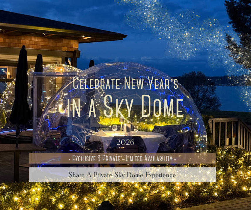 Celebrate New Year Sky Dome Kingfisher Pacific Resort and Spa Ocean7